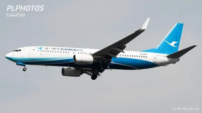 738